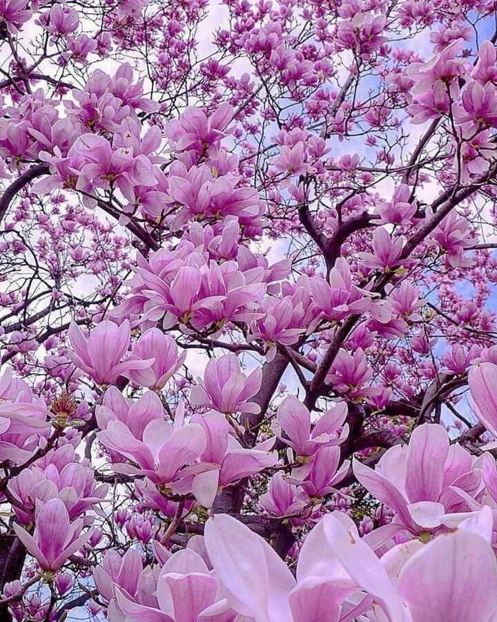 {{brand_name}} workshop space where corporate flower arrangements are designed and prepared for business delivery